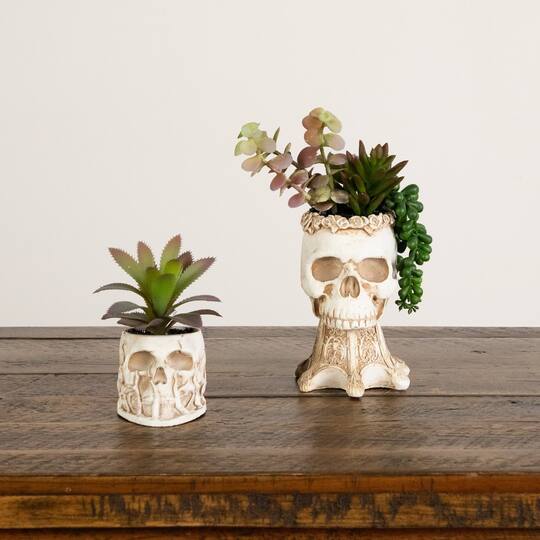 5.5" & 9" Artificial Halloween Succulent Garden in Skull Planters Set